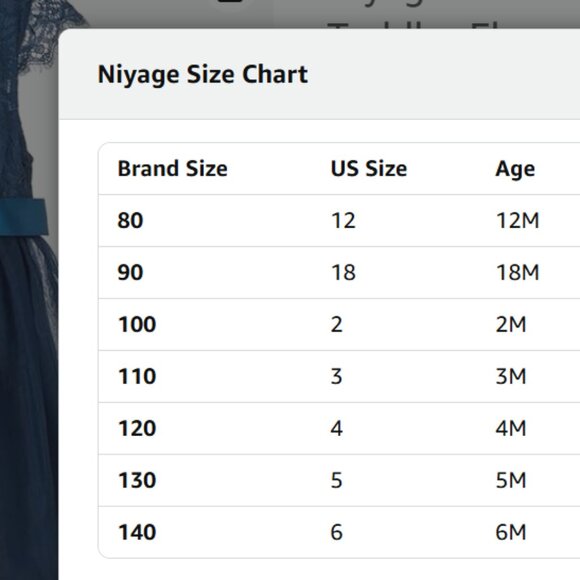 Toddler Blue Lace Flower Girl Dress Size 100 (2T) - Picture 9 of 10